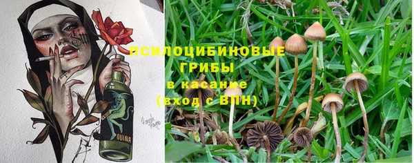 хмурый Алексин