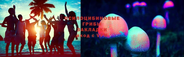 хмурый Алексин