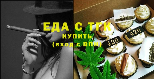 хмурый Алексин