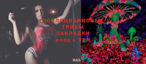 хмурый Алексин